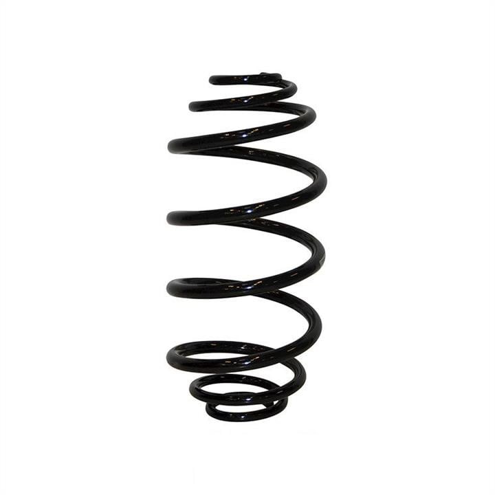 Jp Group 1252204200 Coil Spring 1252204200: Buy near me in Poland at 2407.PL - Good price!