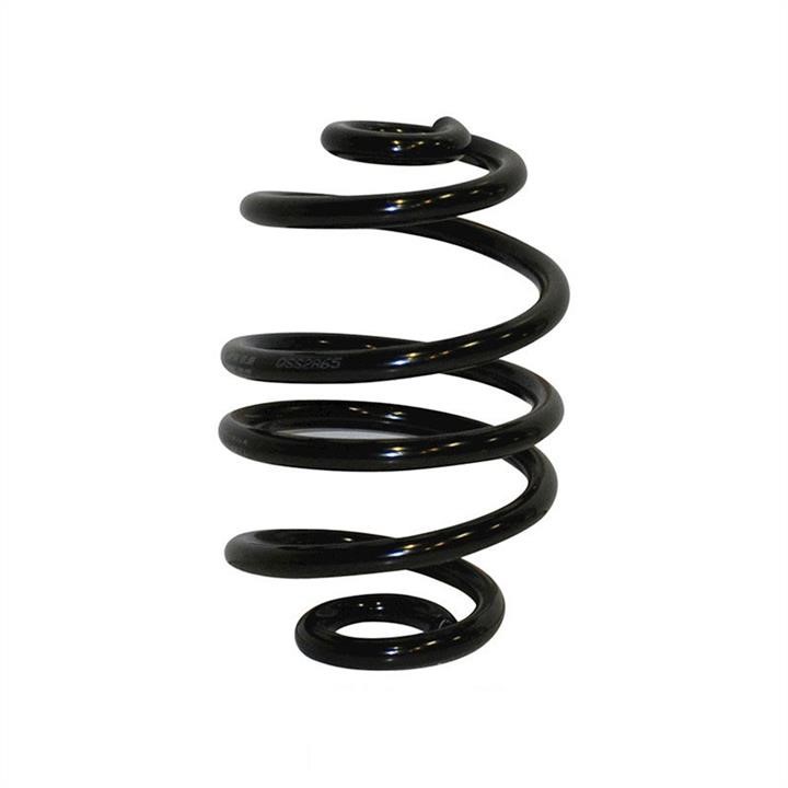 Jp Group 1252205000 Coil Spring 1252205000: Buy near me in Poland at 2407.PL - Good price!