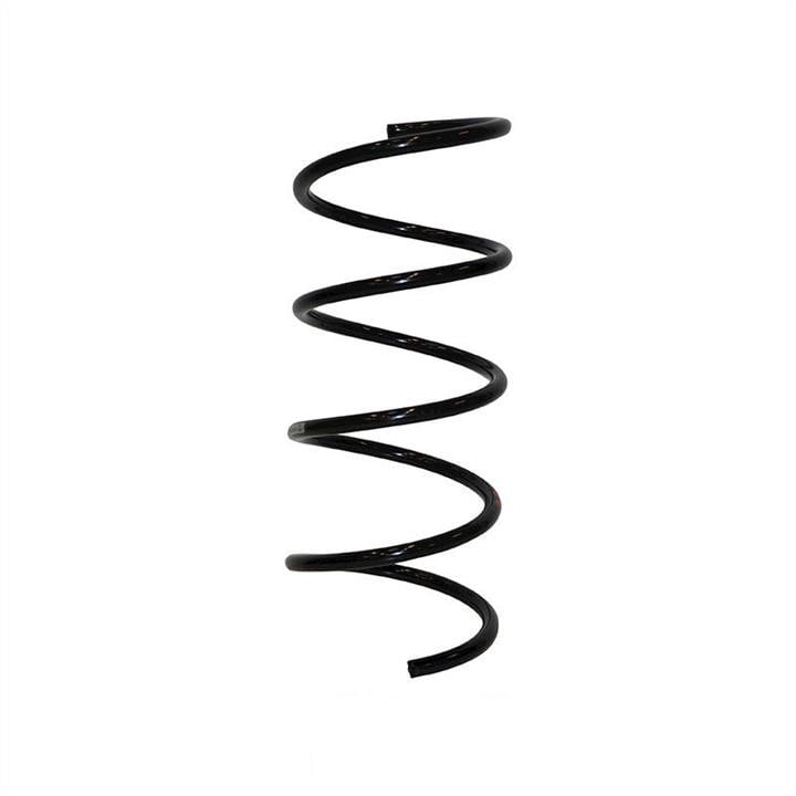 Jp Group 1342206400 Coil Spring 1342206400: Buy near me in Poland at 2407.PL - Good price!