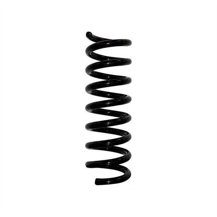 Jp Group 1352204500 Coil Spring 1352204500: Buy near me in Poland at 2407.PL - Good price!