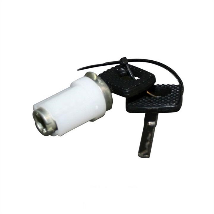 Jp Group 1390400300 Ignition cylinder 1390400300: Buy near me in Poland at 2407.PL - Good price!