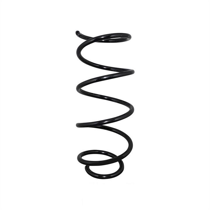 Jp Group 1442202500 Coil Spring 1442202500: Buy near me in Poland at 2407.PL - Good price!
