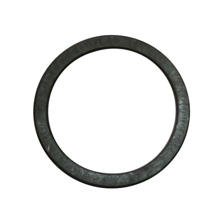 Jp Group 1514550100 Termostat gasket 1514550100: Buy near me in Poland at 2407.PL - Good price!