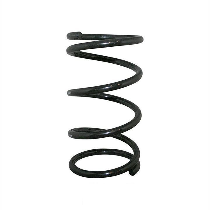 Jp Group 1542200200 Suspension spring front 1542200200: Buy near me in Poland at 2407.PL - Good price!
