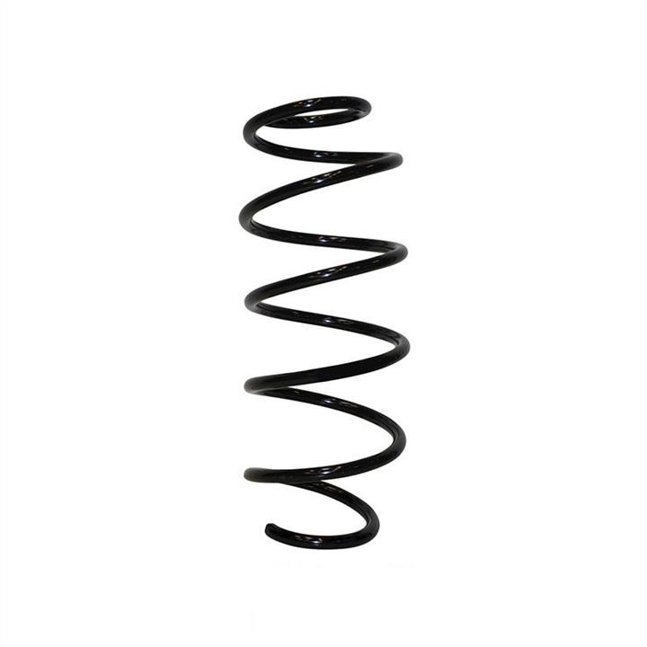 Jp Group 1542205000 Coil Spring 1542205000: Buy near me in Poland at 2407.PL - Good price!
