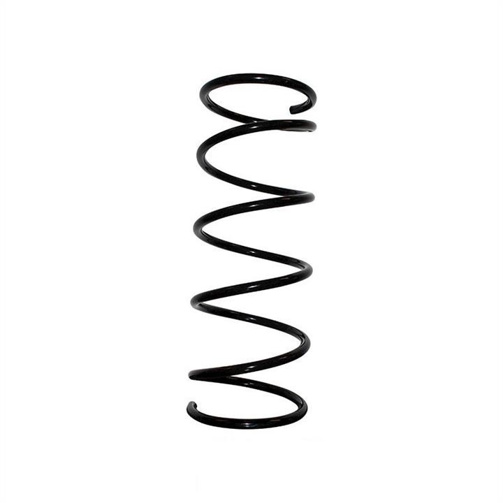 Jp Group 1542205400 Coil Spring 1542205400: Buy near me in Poland at 2407.PL - Good price!