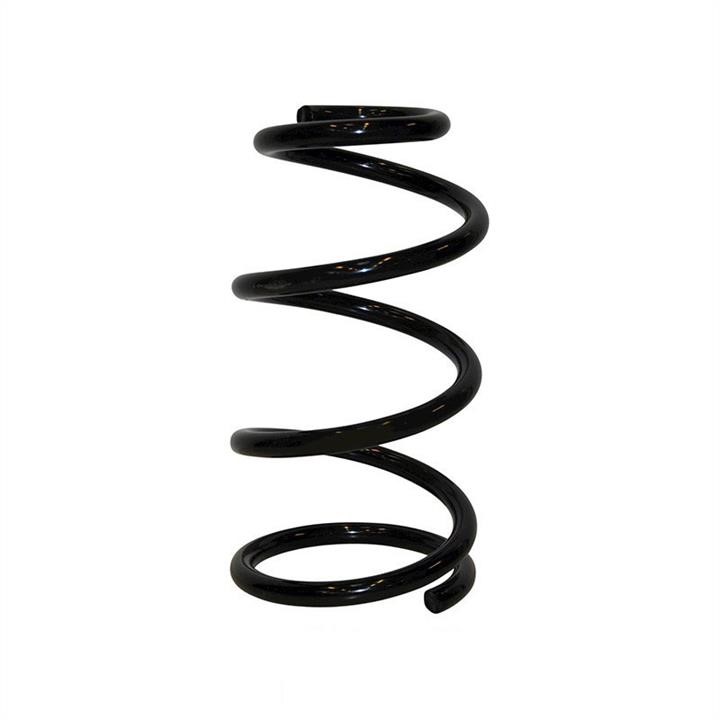 Jp Group 1542205800 Coil Spring 1542205800: Buy near me in Poland at 2407.PL - Good price!