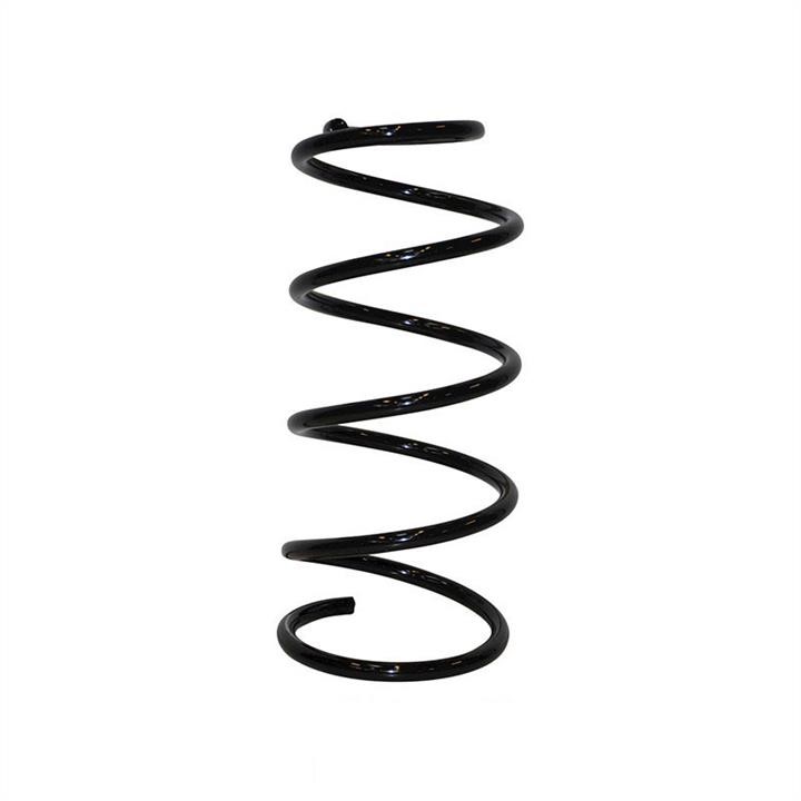 Jp Group 1542207500 Coil Spring 1542207500: Buy near me in Poland at 2407.PL - Good price!