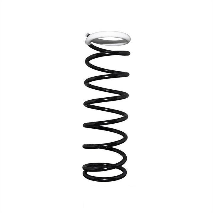 Jp Group 1552201100 Coil Spring 1552201100: Buy near me in Poland at 2407.PL - Good price!