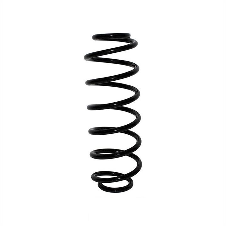 Jp Group 1552203300 Coil Spring 1552203300: Buy near me at 2407.PL in Poland at an Affordable price!