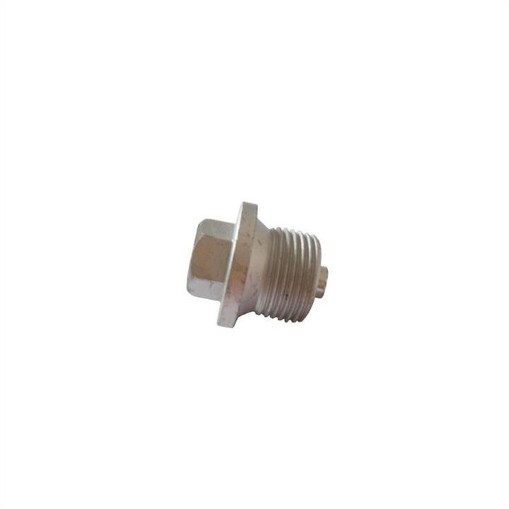Jp Group 1613800100 Sump plug 1613800100: Buy near me in Poland at 2407.PL - Good price!