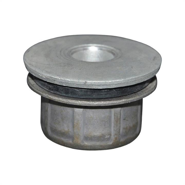 Jp Group 1650300100 Control Arm-/Trailing Arm Bush 1650300100: Buy near me in Poland at 2407.PL - Good price!