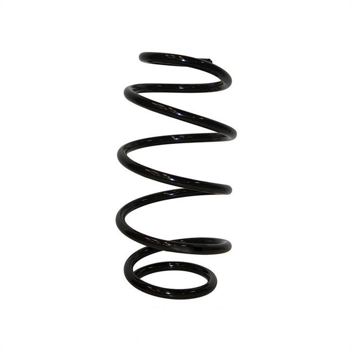 Jp Group 4042201200 Coil Spring 4042201200: Buy near me in Poland at 2407.PL - Good price!