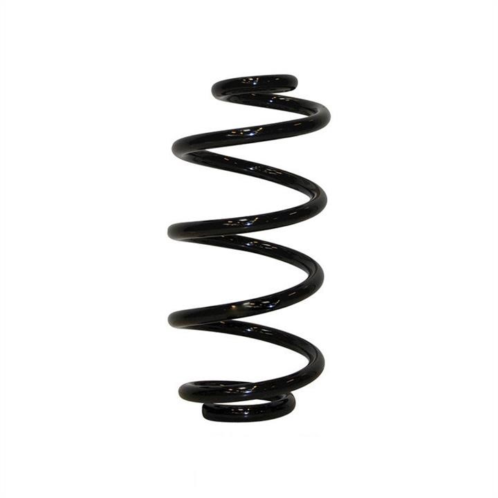 Jp Group 4052200300 Coil Spring 4052200300: Buy near me in Poland at 2407.PL - Good price!