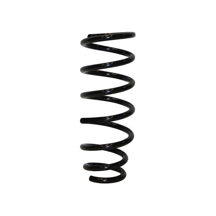 Jp Group 4052200700 Coil Spring 4052200700: Buy near me in Poland at 2407.PL - Good price!