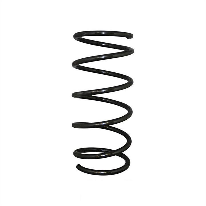 Jp Group 4142200500 Coil Spring 4142200500: Buy near me in Poland at 2407.PL - Good price!