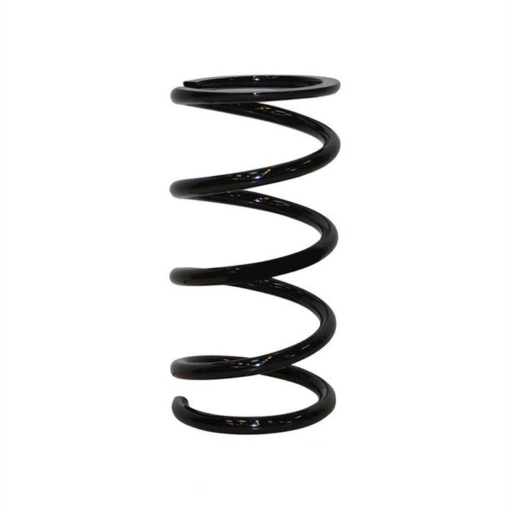 Jp Group 4852202800 Coil Spring 4852202800: Buy near me at 2407.PL in Poland at an Affordable price!