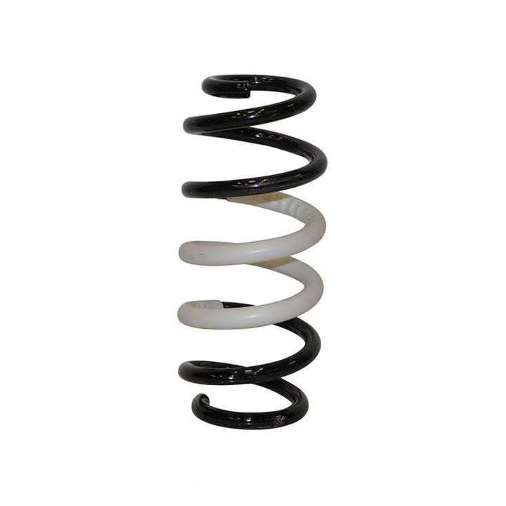 Jp Group 4852202900 Coil Spring 4852202900: Buy near me at 2407.PL in Poland at an Affordable price!