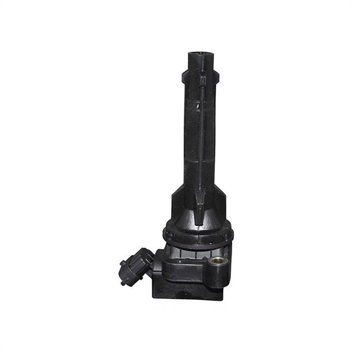 Jp Group 4891600300 Ignition coil 4891600300: Buy near me at 2407.PL in Poland at an Affordable price!