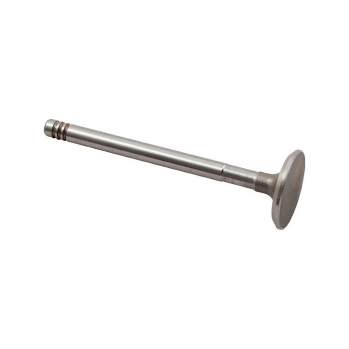Jp Group 8111300303 Intake valve 8111300303: Buy near me at 2407.PL in Poland at an Affordable price!