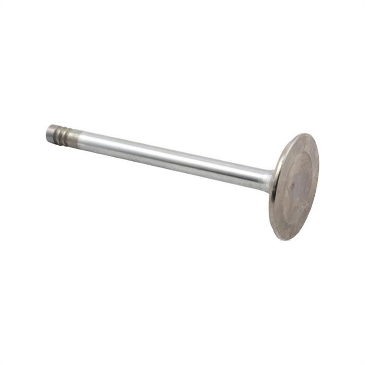 Jp Group 8111301403 Intake valve 8111301403: Buy near me at 2407.PL in Poland at an Affordable price!