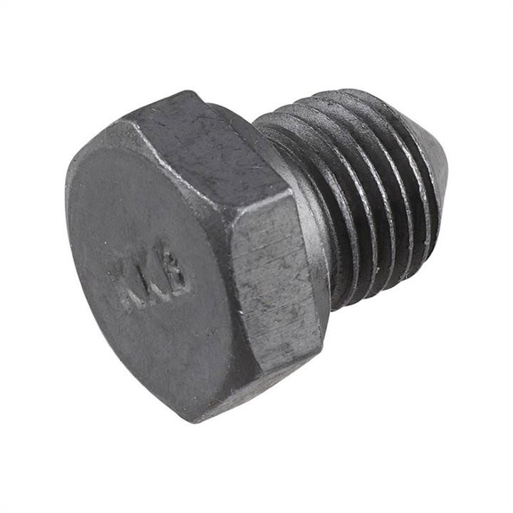 Jp Group 8113800200 Sump plug 8113800200: Buy near me in Poland at 2407.PL - Good price!
