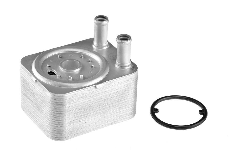 NTY CCL-AU-002 Oil cooler CCLAU002: Buy near me in Poland at 2407.PL - Good price!