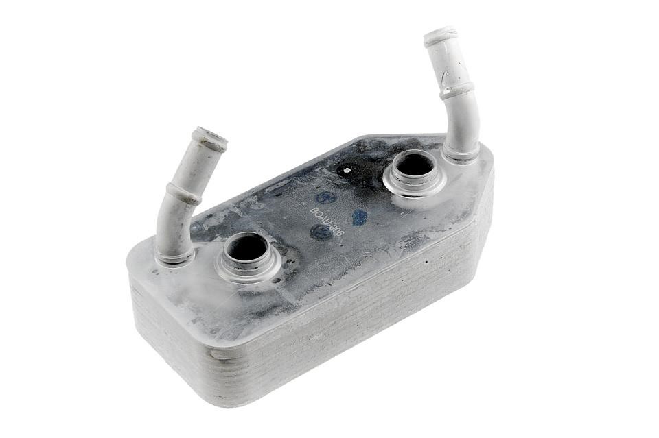 NTY CCL-AU-006 Oil cooler CCLAU006: Buy near me in Poland at 2407.PL - Good price!