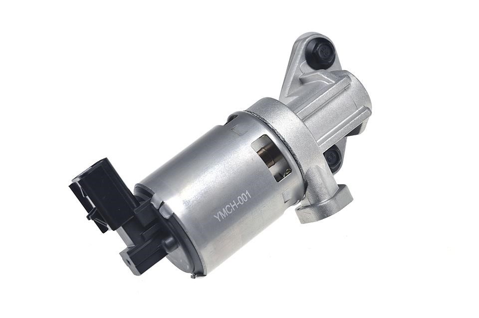 NTY EGR-CH-001 Exhaust gas recirculation valve EGRCH001: Buy near me in Poland at 2407.PL - Good price!