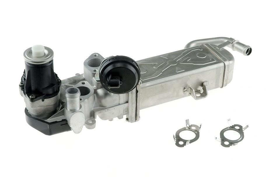NTY EGR-VW-007 Exhaust gas recirculation valve EGRVW007: Buy near me in Poland at 2407.PL - Good price!
