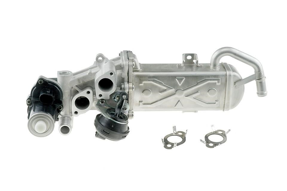 Buy NTY EGR-VW-007 at a low price in Poland!