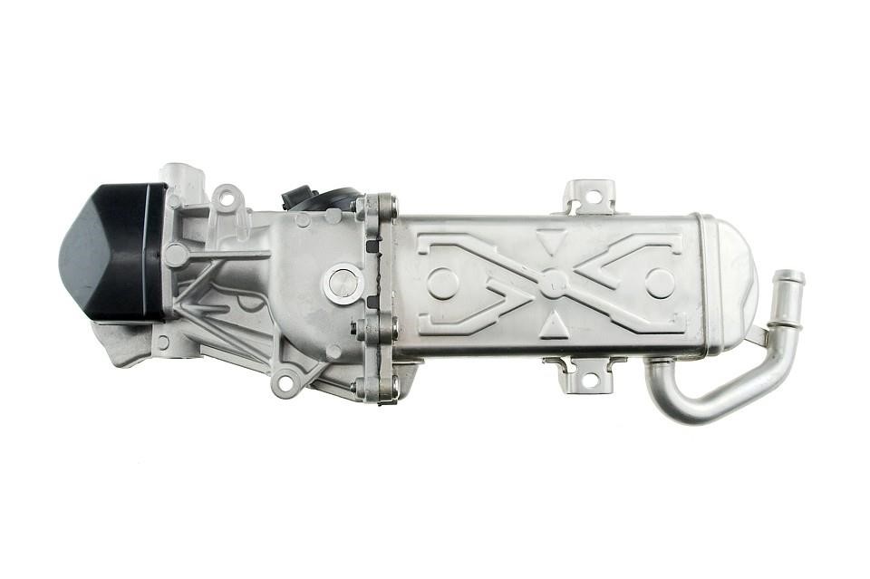 Buy NTY EGR-VW-007 at a low price in Poland!