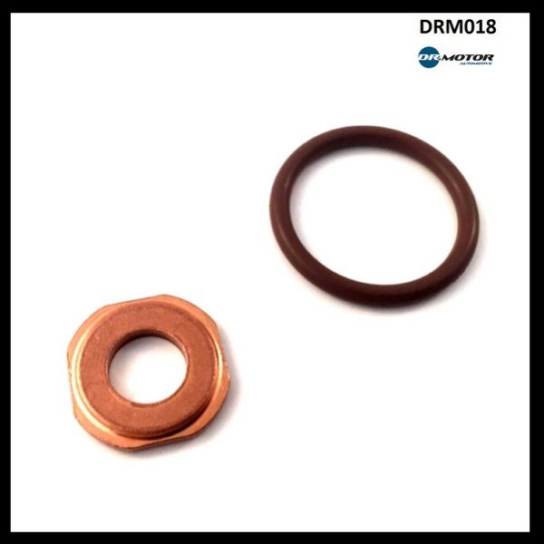Dr.Motor DRM018 Fuel injector repair kit DRM018: Buy near me at 2407.PL in Poland at an Affordable price!