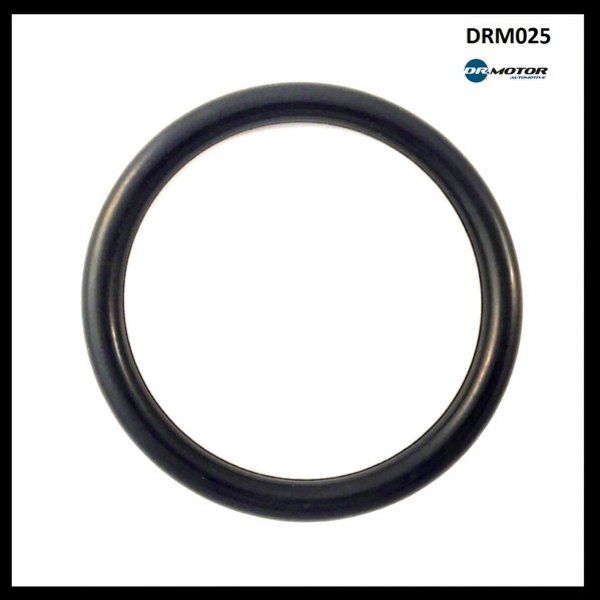 Dr.Motor DRM025 GASKET THROTTLE BODY DRM025: Buy near me in Poland at 2407.PL - Good price!