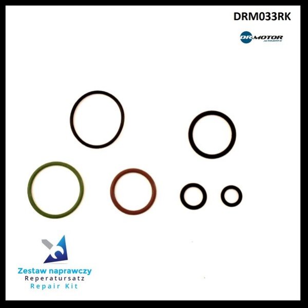 Dr.Motor DRM033RK Fuel injector repair kit DRM033RK: Buy near me in Poland at 2407.PL - Good price!