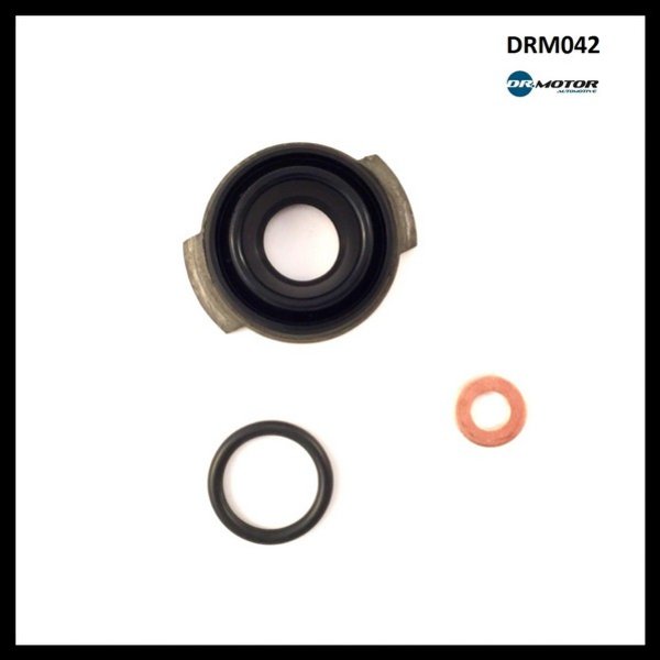 Dr.Motor DRM042 Kraftstoffeinspritzdüse-Ersatzteilsatz DRM042: Kaufen Sie zu einem guten Preis in Polen bei 2407.PL!