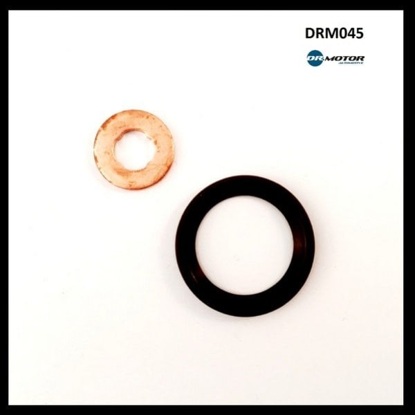 Dr.Motor DRM045 Fuel injector repair kit DRM045: Buy near me in Poland at 2407.PL - Good price!