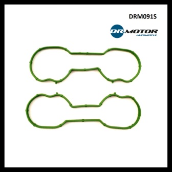 Dr.Motor DRM091S Intake manifold gaskets, kit DRM091S: Buy near me in Poland at 2407.PL - Good price!