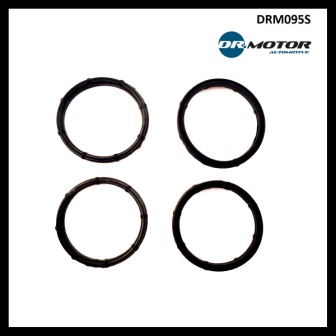 Dr.Motor DRM095S Intake manifold gaskets, kit DRM095S: Buy near me at 2407.PL in Poland at an Affordable price!