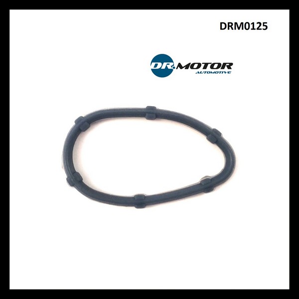 Dr.Motor DRM0125 Gasket, intake manifold DRM0125: Buy near me in Poland at 2407.PL - Good price!
