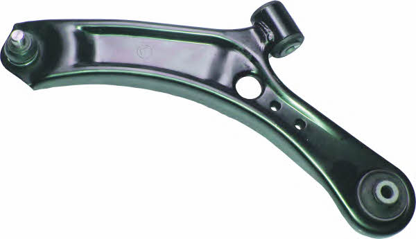 Birth BR1801 Track Control Arm BR1801: Buy near me in Poland at 2407.PL - Good price!