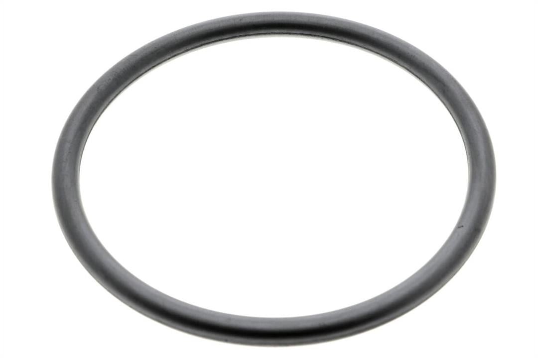 Vaico V10-2571 Air filter housing gasket V102571: Buy near me at 2407.PL in Poland at an Affordable price!