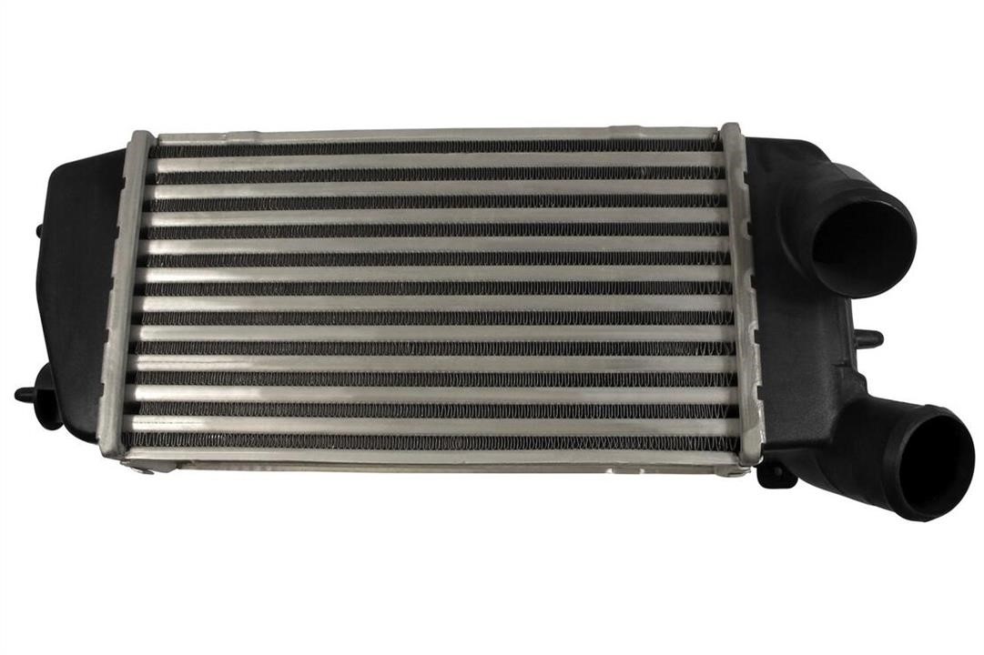 Vemo V22-60-0008 Intercooler, charger V22600008: Buy near me in Poland at 2407.PL - Good price!