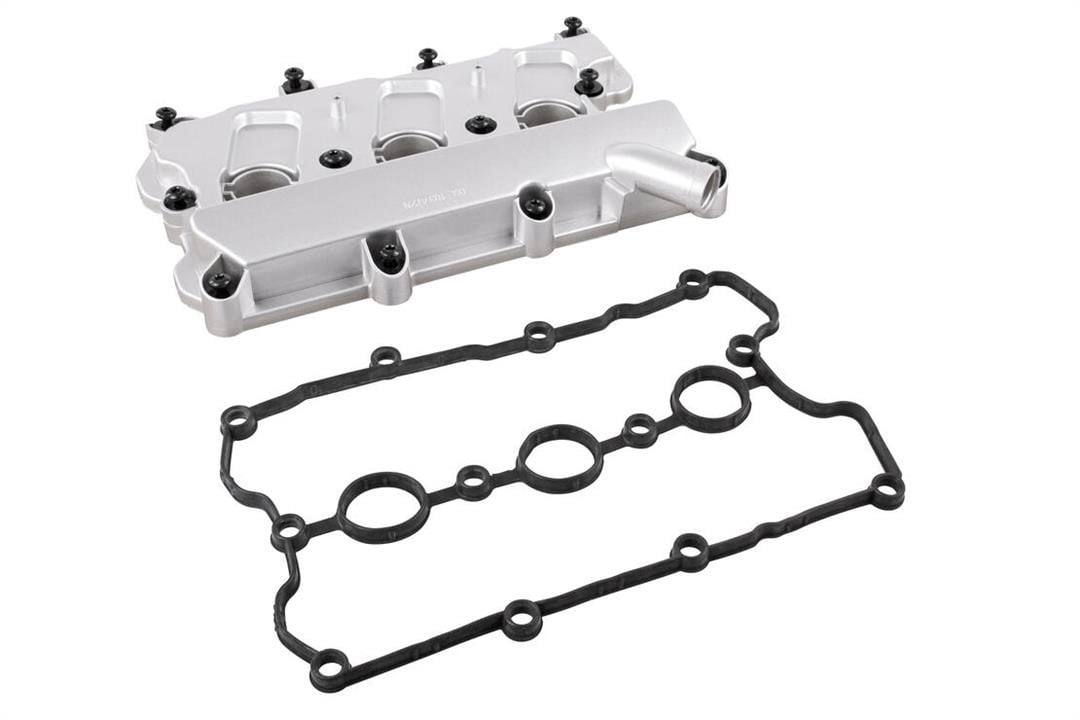 V104950 Vaico Hood
