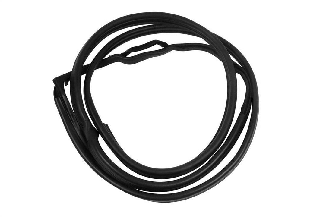 V301560 Vaico Türdichtung