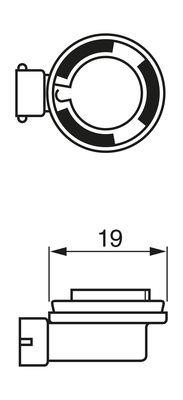 Bosch Glühlampe 12V – Preis 36 PLN