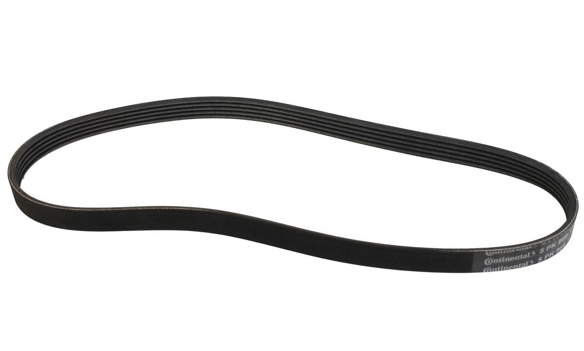 Aux belt Subaru Legacy: 5PK869 Contitech Poly-V belt 5PK869