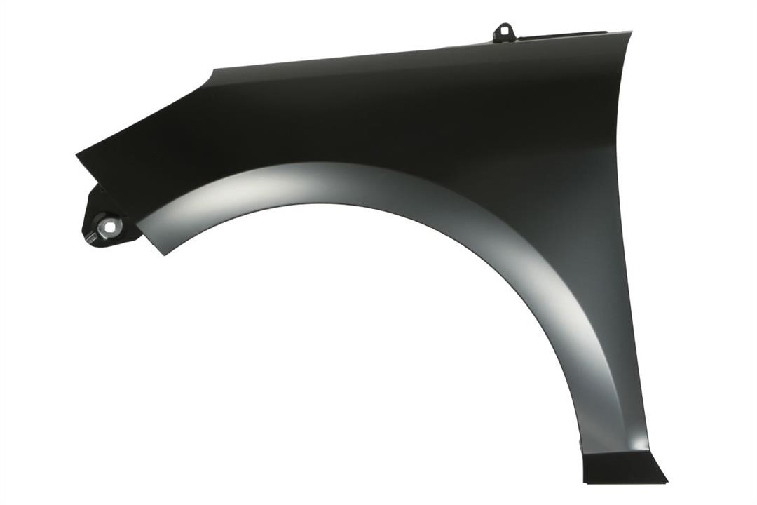 Front fender Ford Fiesta: 6504042566311Q Blic Front fender
