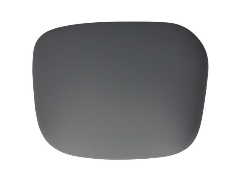 Blic 6103-01-1321972P Cover side mirror 6103011321972P: Buy near me in Poland at 2407.PL - Good price!