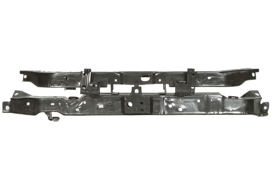 Frontplatten Nissan: 6502081690200P Blic Tafel vorne